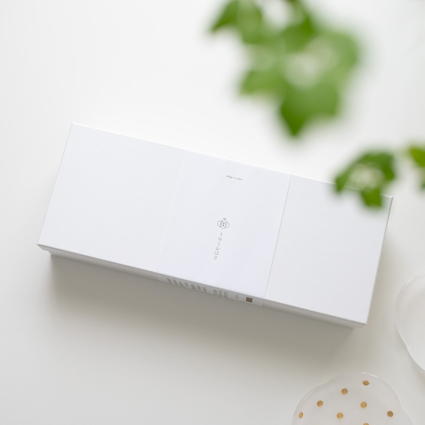 【特別価格30%OFF】＜うめとおはぎ＞花まつり-芍薬とカーネーション おはぎ7種7個